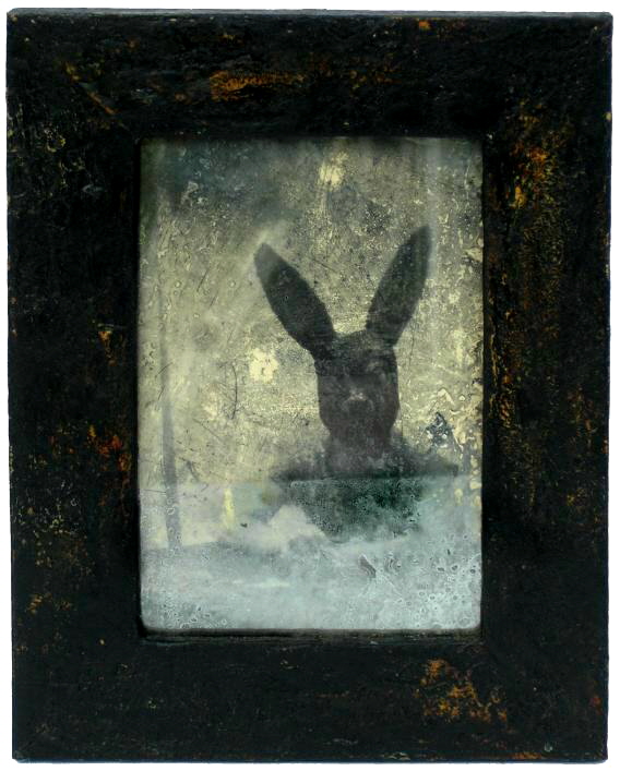 mirror rabbit lar self portrait