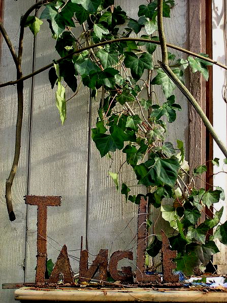 outside studio tangle