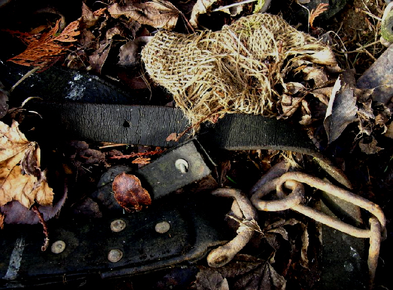 old harness outside studio