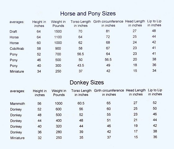 horseponyanddonkeysizes