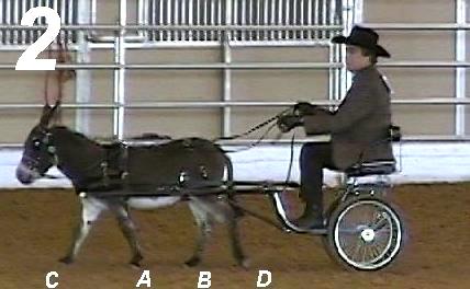 stride2.JPG - 22525 Bytes