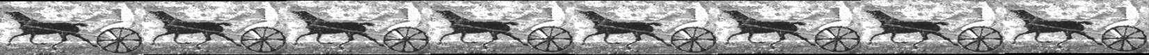 topgreyhorsebuggy